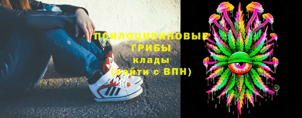 спиды Алексин