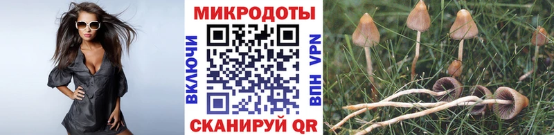 хочу наркоту  Орлов  Галлюциногенные грибы Psilocybine cubensis 